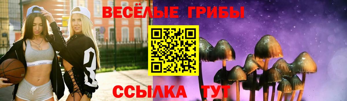 Псилоцибиновые грибы Cubensis  Псилоцибиновые грибы GOLDEN TEACHER  Нефтекамск  Вход с VPN 